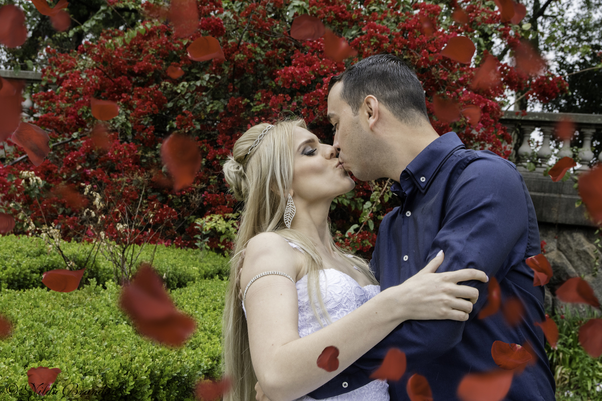 Petalas de rosas vermelhas enfeitam o beijo do casal 