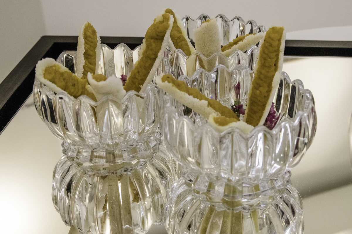 Fotografia de evento, fotografia corporativa, deixando o evento mais marcante com fotografias profissionais 