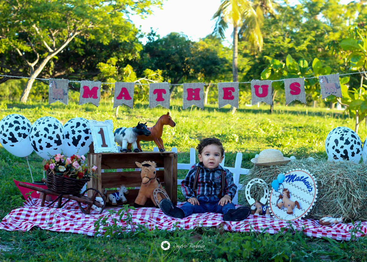 ensaio família;smash the cake; ensaio; aracaju; sergipe;1 ano; fotografo; aracaju
