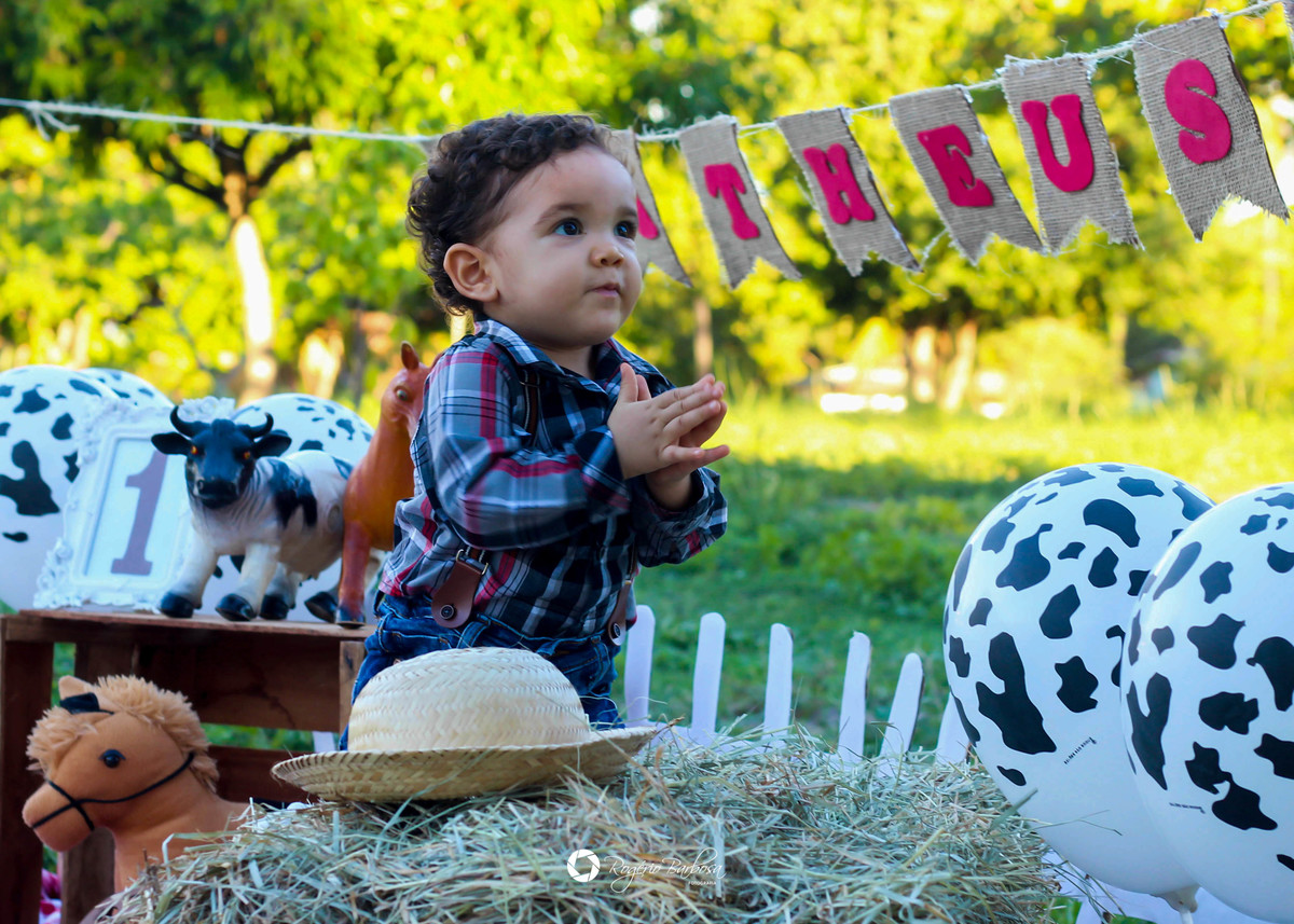 ensaio família;smash the cake; ensaio; aracaju; sergipe;1 ano; fotografo; aracaju
