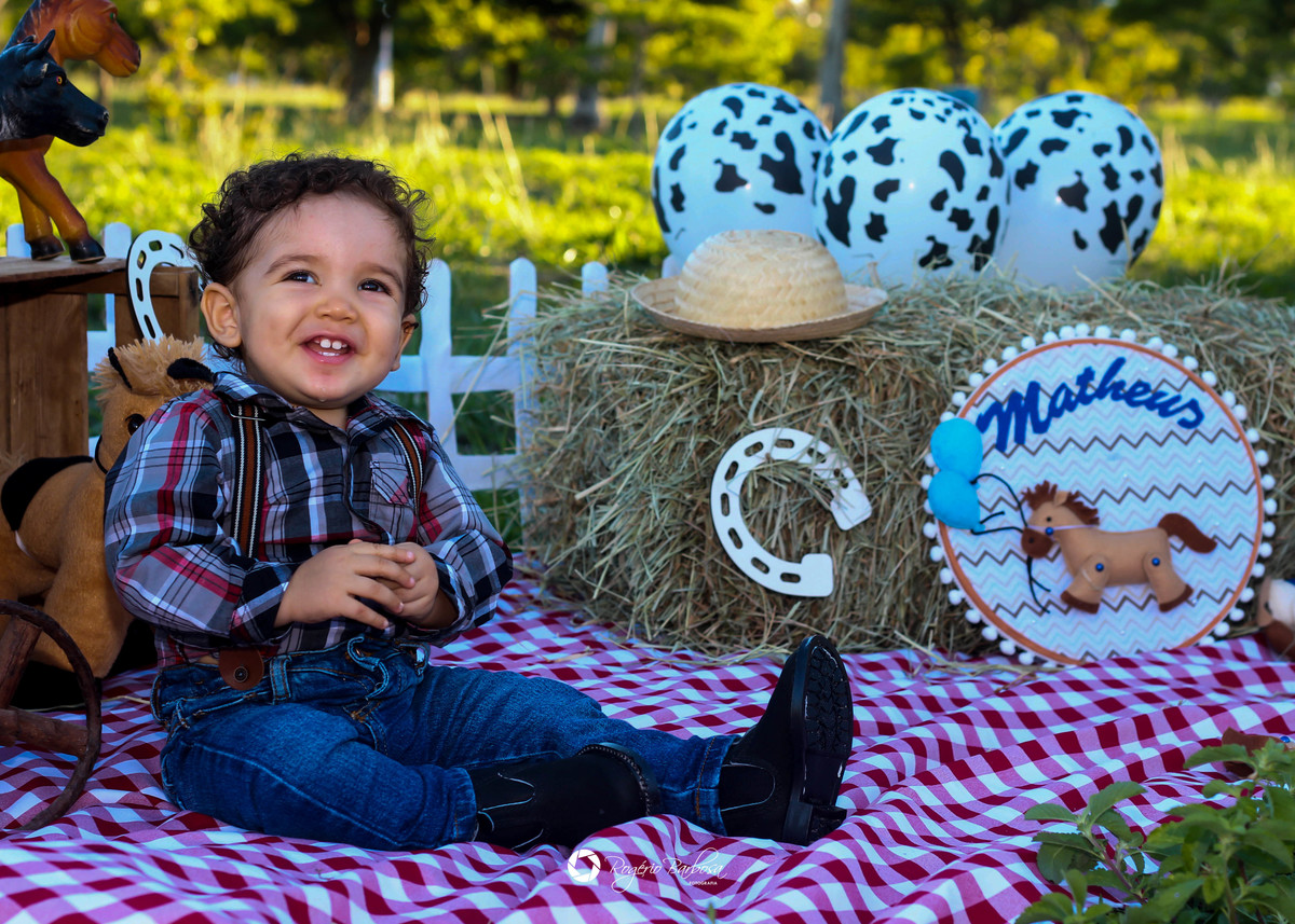 ensaio família;smash the cake; ensaio; aracaju; sergipe;1 ano; fotografo; aracaju