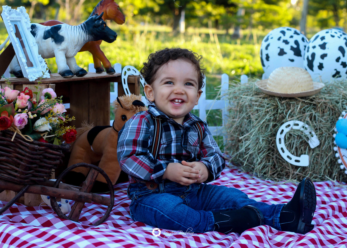 ensaio família;smash the cake; ensaio; aracaju; sergipe;1 ano; fotografo; aracaju