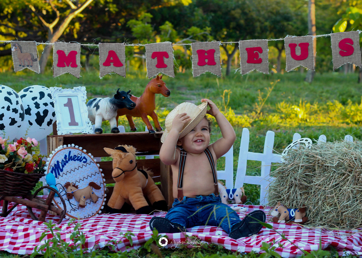 ensaio família;smash the cake; ensaio; aracaju; sergipe;1 ano; fotografo; aracaju