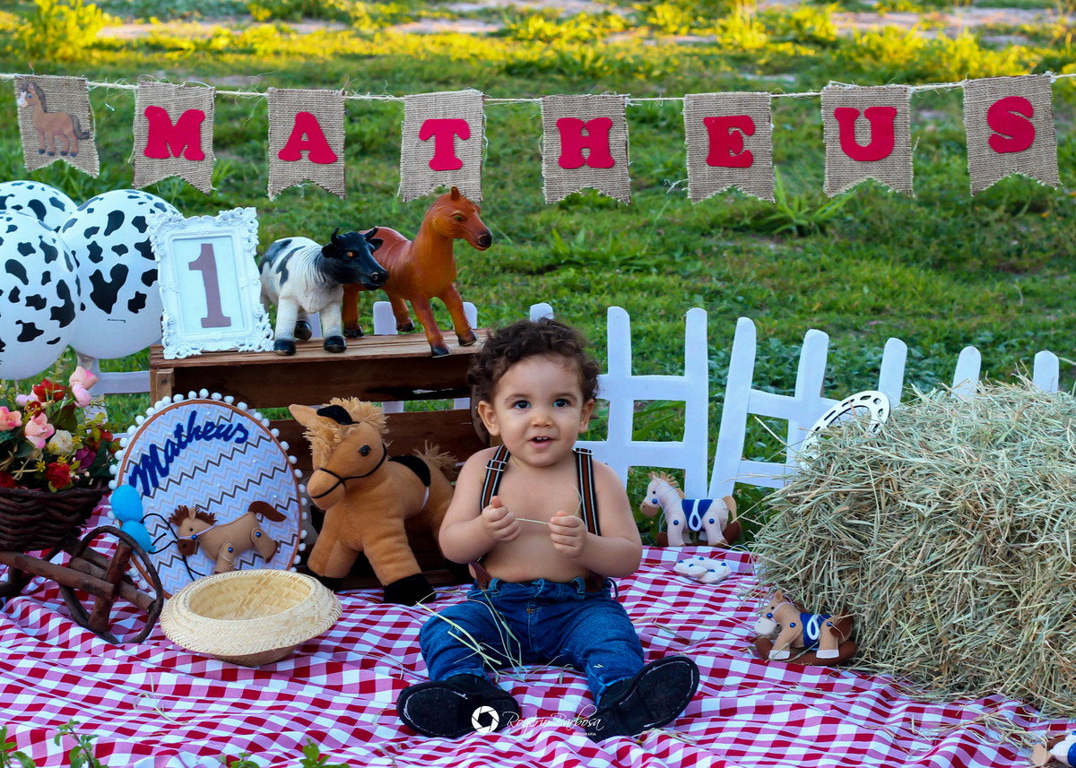 ensaio família;smash the cake; ensaio; aracaju; sergipe;1 ano; fotografo; aracaju