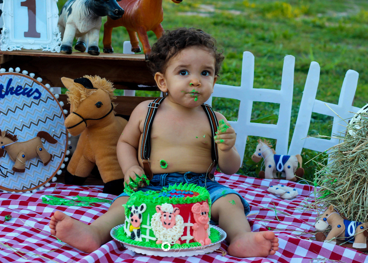 ensaio família;smash the cake; ensaio; aracaju; sergipe;1 ano; fotografo; aracaju