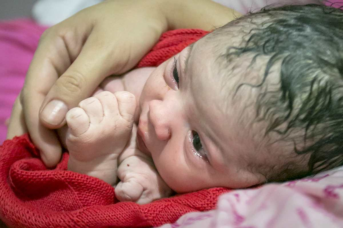 Registro de nascimento fotografia de parto humanizado doula Veloso Valentim Fotografia afetiva