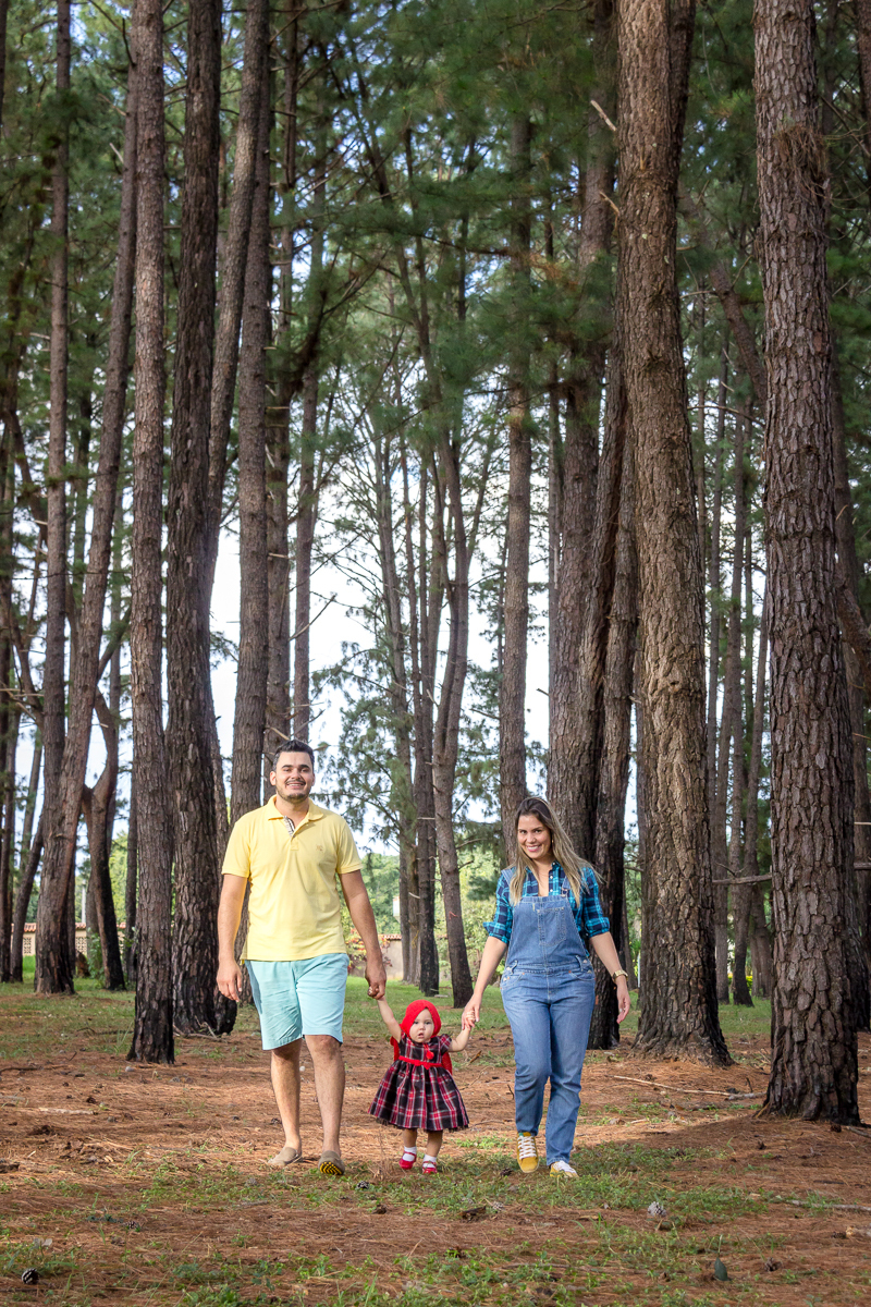 passeio da bebê aniversariante chapeuzinho vermelho com os pais na floresta