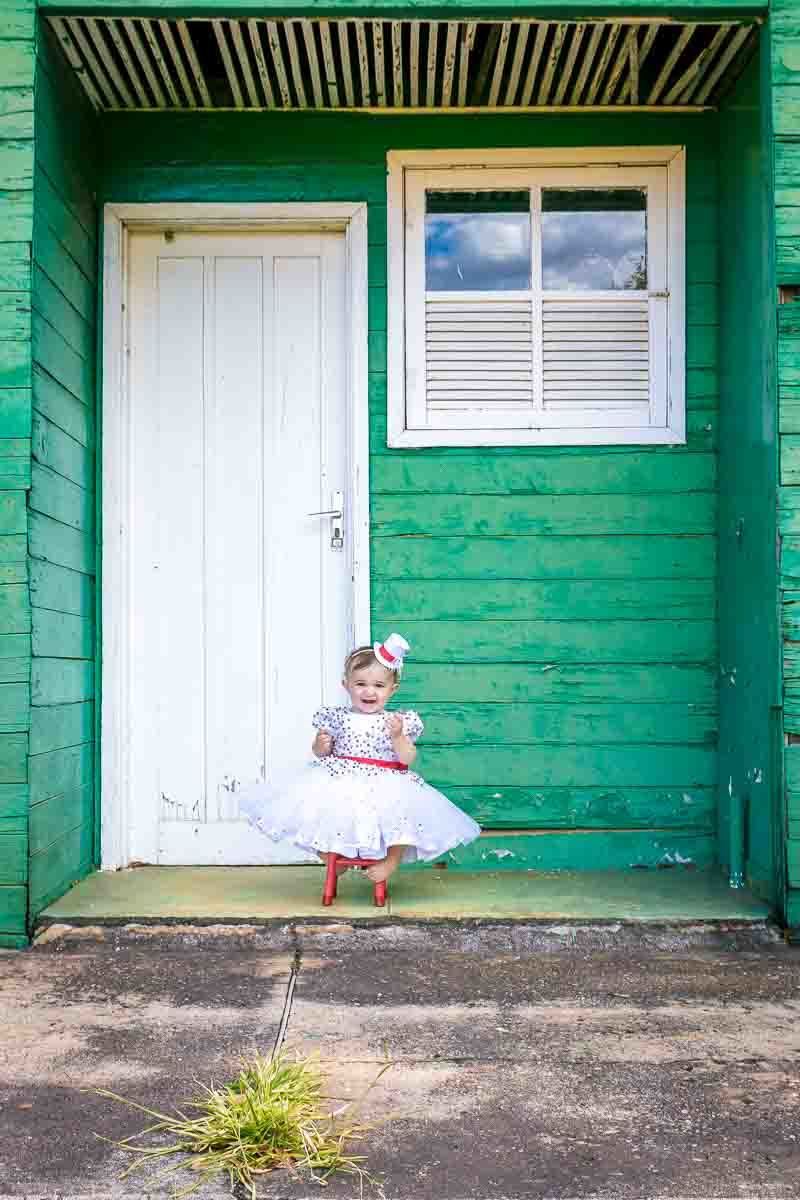 casinha verde bebê fantasia circo