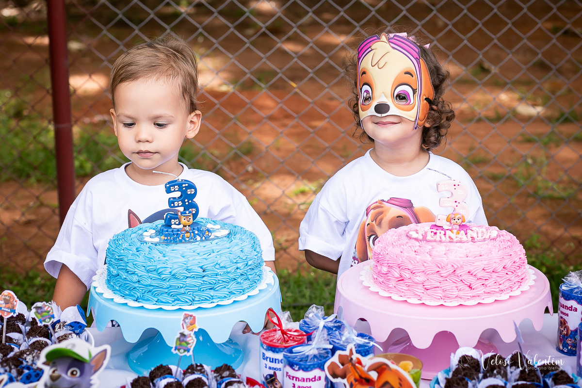 festa de aniversário na escola gêmeos 