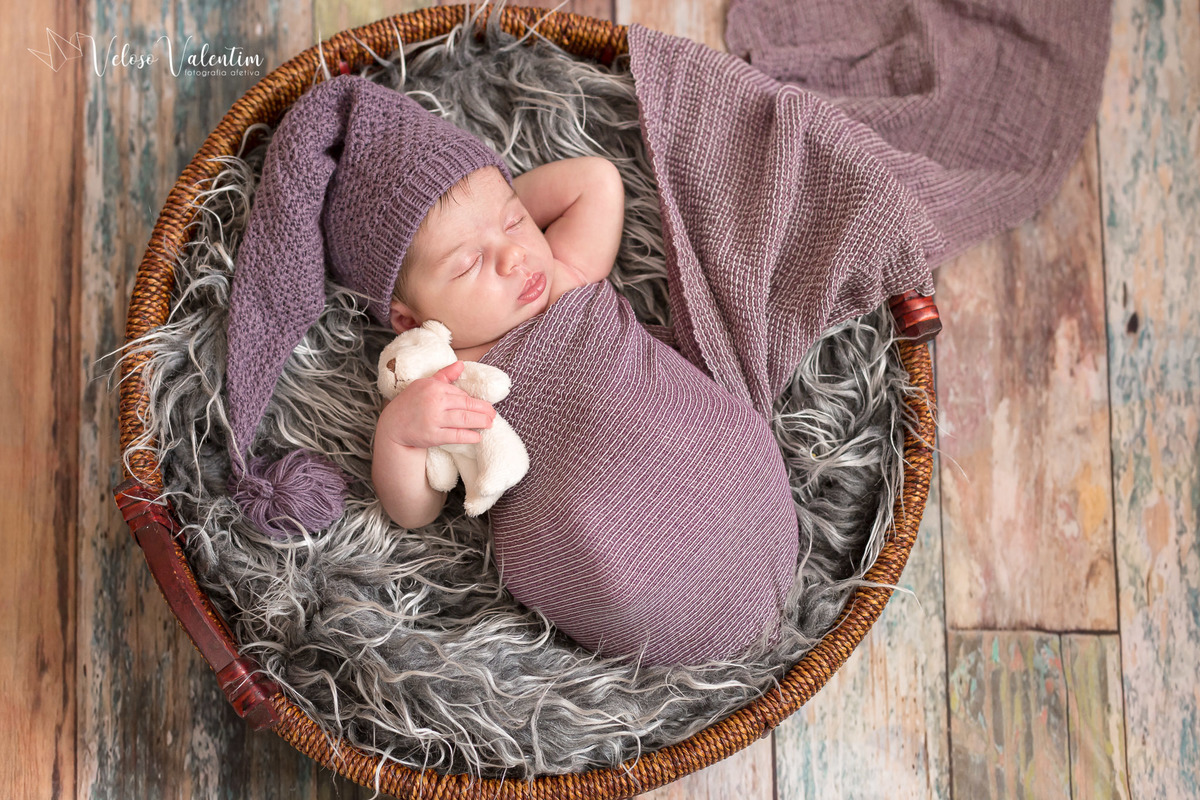 newborn brasília ursinho