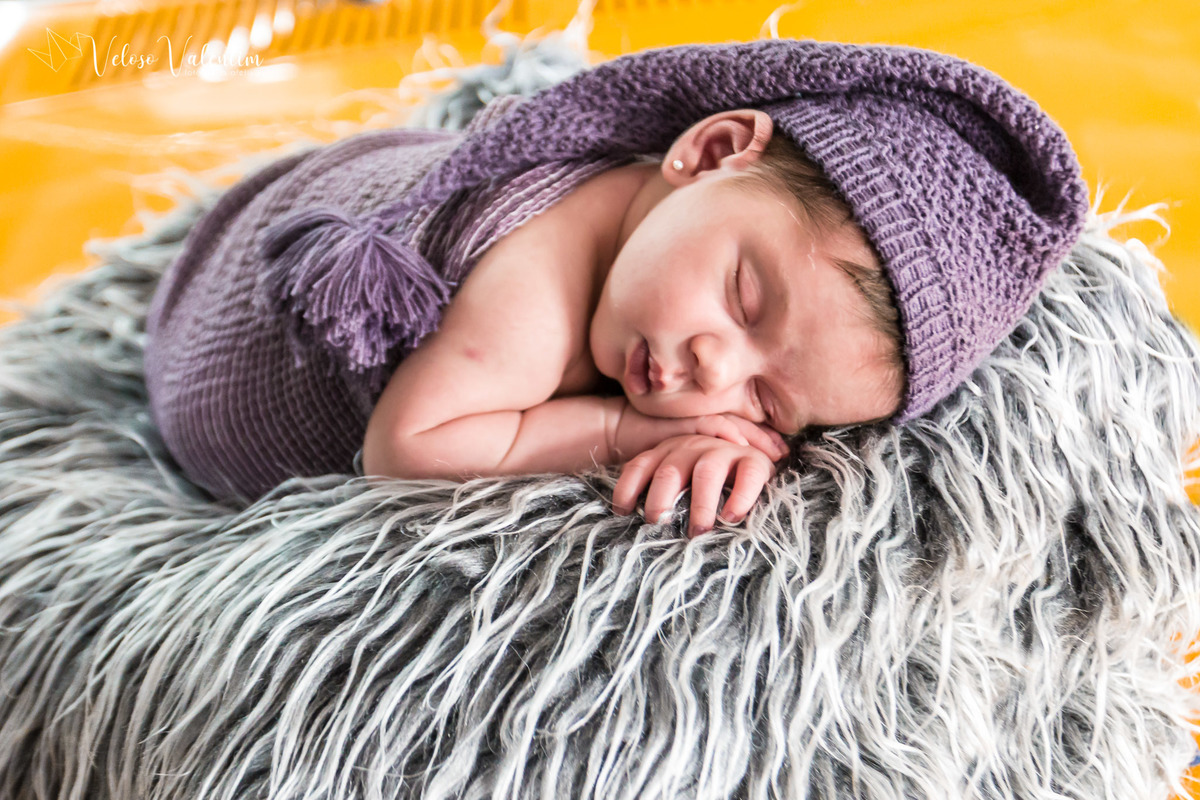 ensaio newborn bsb