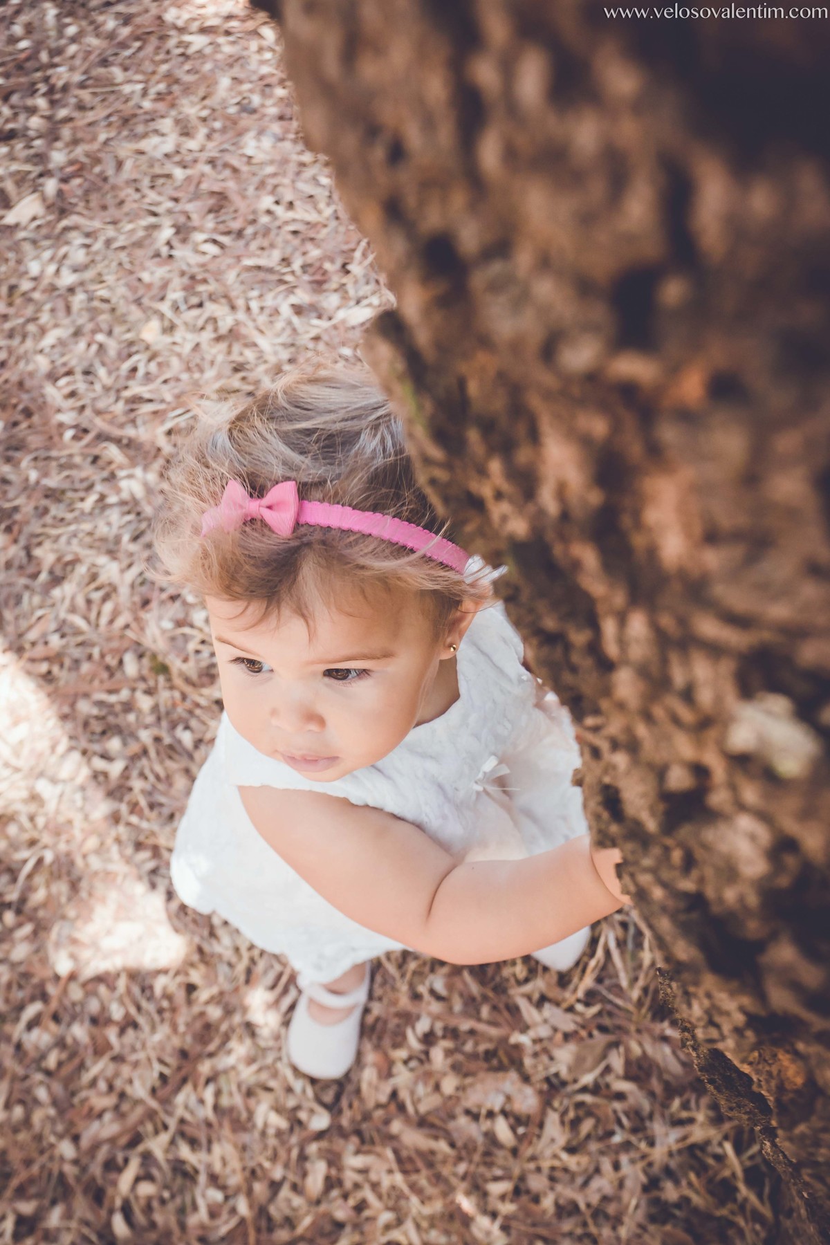 ensaio infantil ao ar livre bebê encostada em tronco de árvore Brasília DF