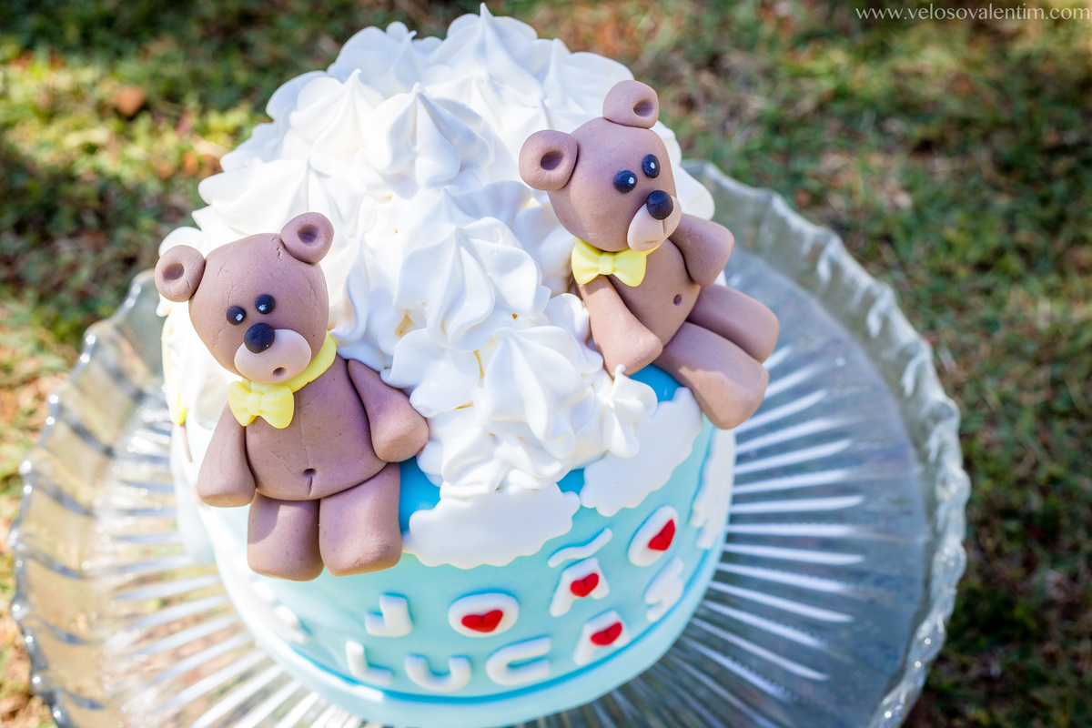 ensaio smash the cake ao ar livre picnic a beira do lago bolo confeitado tema urso Brasília DF Pontão Lago Sul