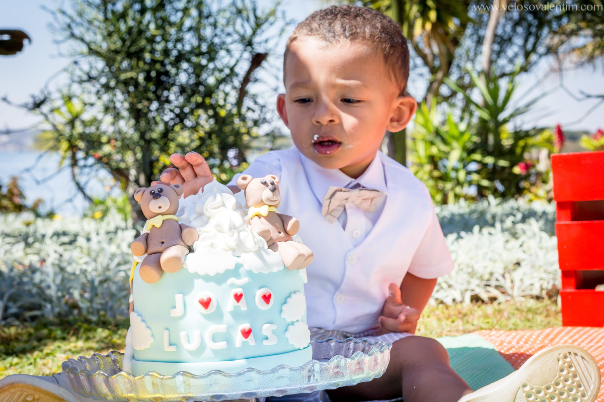 ensaio smash the cake ao ar livre picnic a beira do lago mãe tema ursos e balões bebê comendo o bolo Brasília DF Pontão Lago Sul