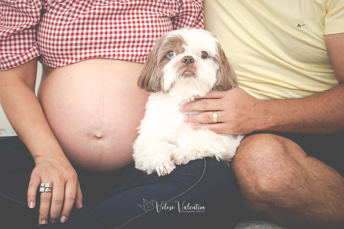 casal com o cachorro ensaio gestante em casa brasília df