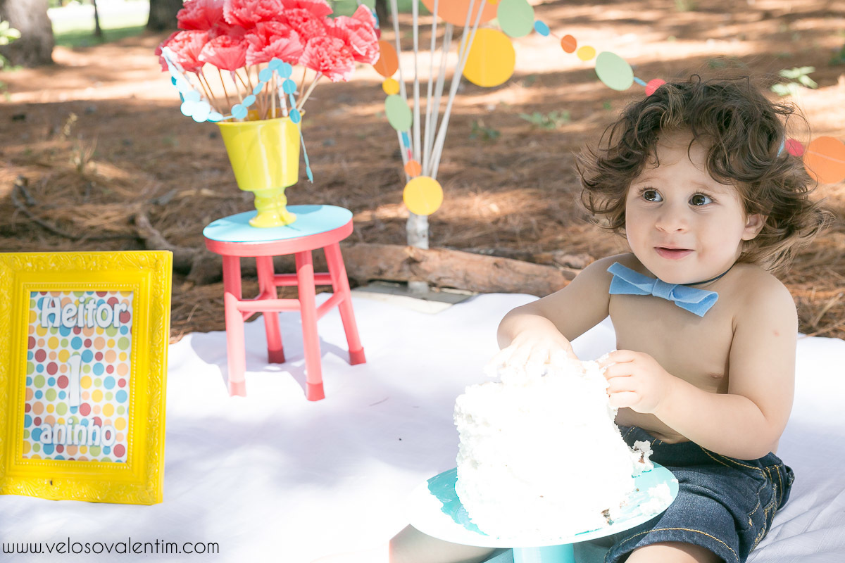 ensaio smash the cake tema bolinhas primeiro aninho parque da cidade família balões coloridos banho menino cabeludo Brasília DF