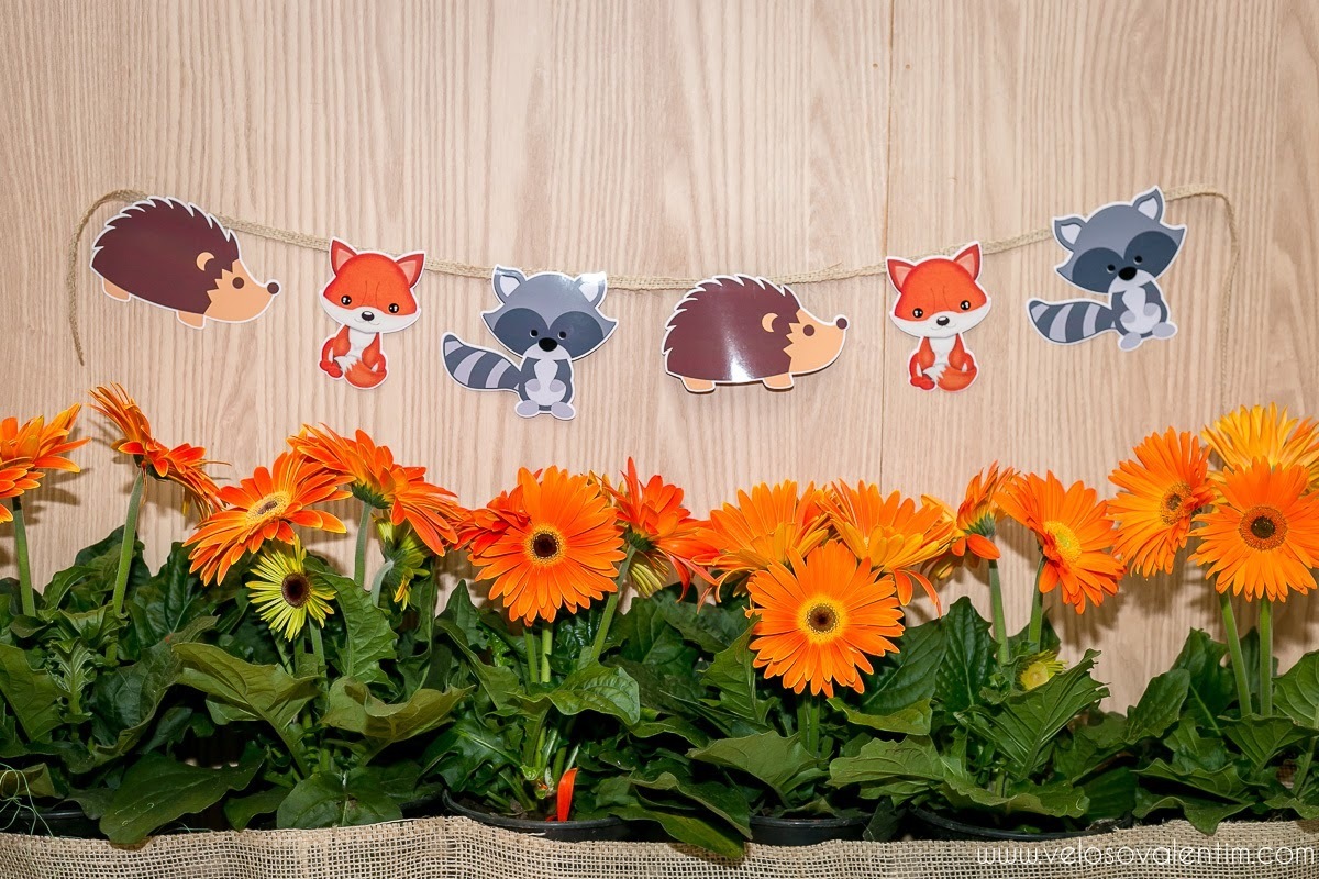 Ensaio Gestante Guará Brasília ao ar livre no parque casal céu azul cerrado