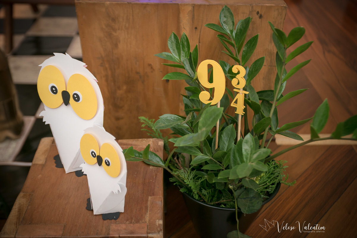 Festa infantil tema Harry Potter Brasília Papel e Tesoura 1 aninho decoração em papel 