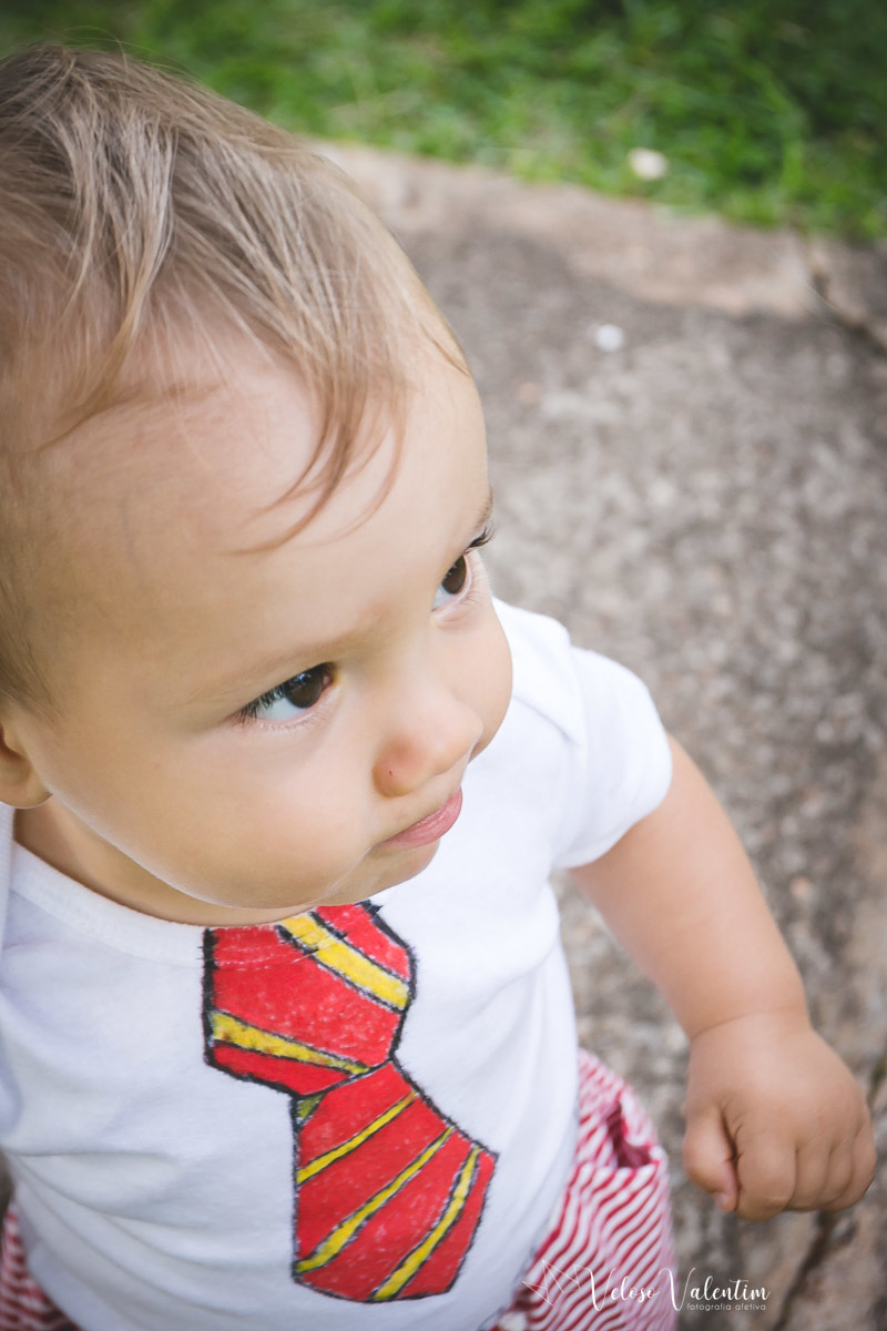 Festa infantil tema Harry Potter Brasília Papel e Tesoura 1 aninho decoração em papel 