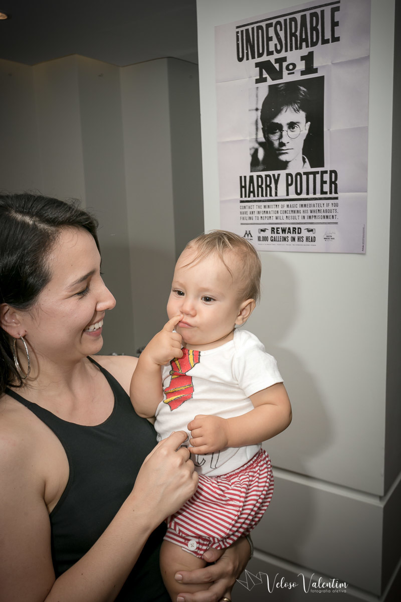 Festa infantil tema Harry Potter Brasília Papel e Tesoura 1 aninho decoração em papel 