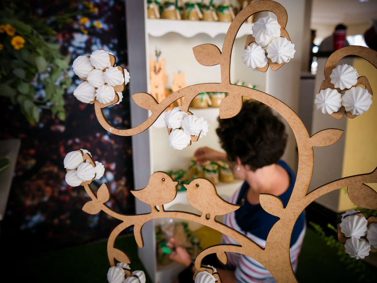 Decoração de chá de fraldas Brasília Papel e Tesoura tema cerrado fauna e flora flores plantas suspiros corujas 