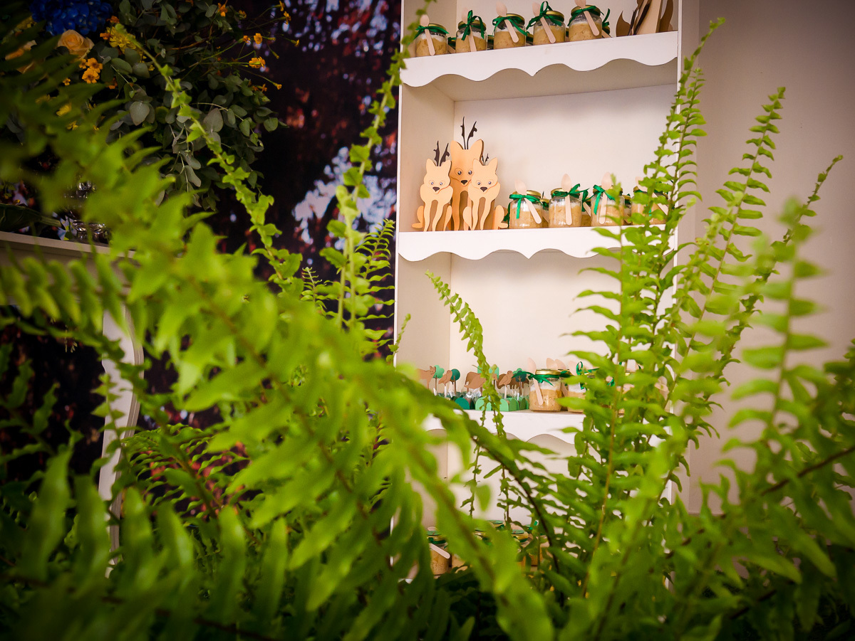 Decoração de chá de fraldas Brasília Papel e Tesoura tema cerrado fauna e flora flores plantas suspiros corujas 