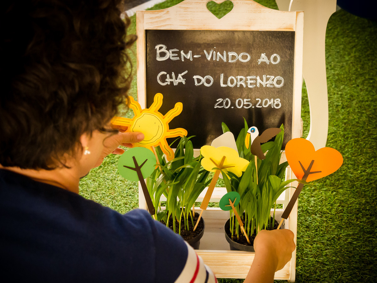 Decoração de chá de fraldas Brasília Papel e Tesoura tema cerrado fauna e flora flores plantas suspiros corujas 
