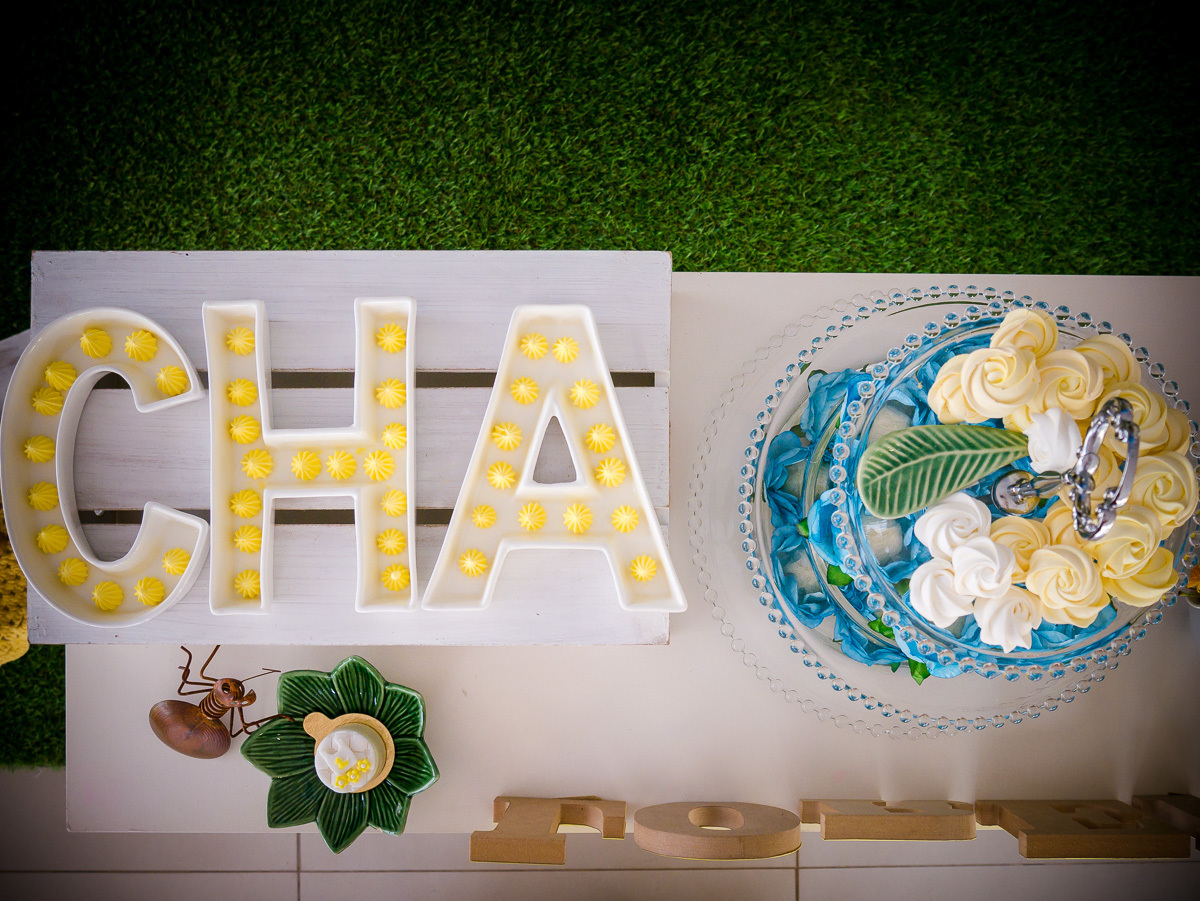 Decoração de chá de fraldas Brasília Papel e Tesoura tema cerrado fauna e flora flores plantas suspiros corujas 