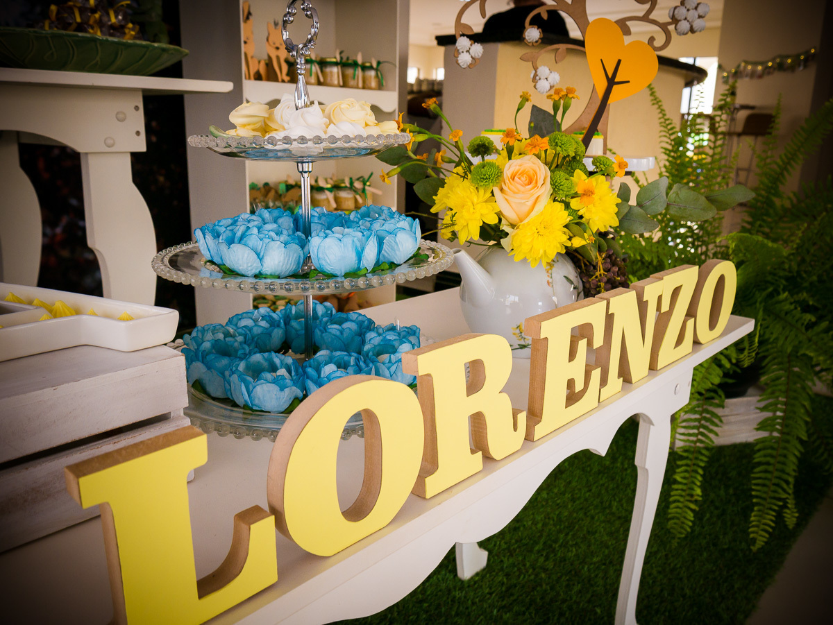 Decoração de chá de fraldas Brasília Papel e Tesoura tema cerrado fauna e flora flores plantas suspiros corujas 