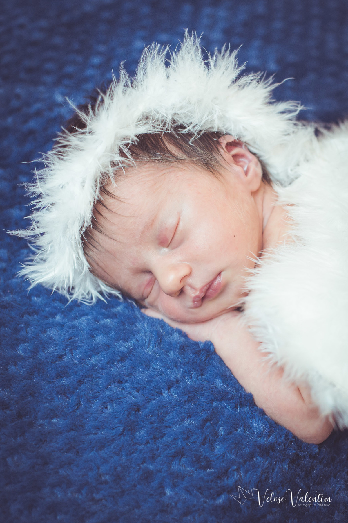 ensaio newborn book recém-nascido ensaio lifestyle 8 dias fotografia afetiva de família veloso valentim ensaio em casa Brasília DF anjinho