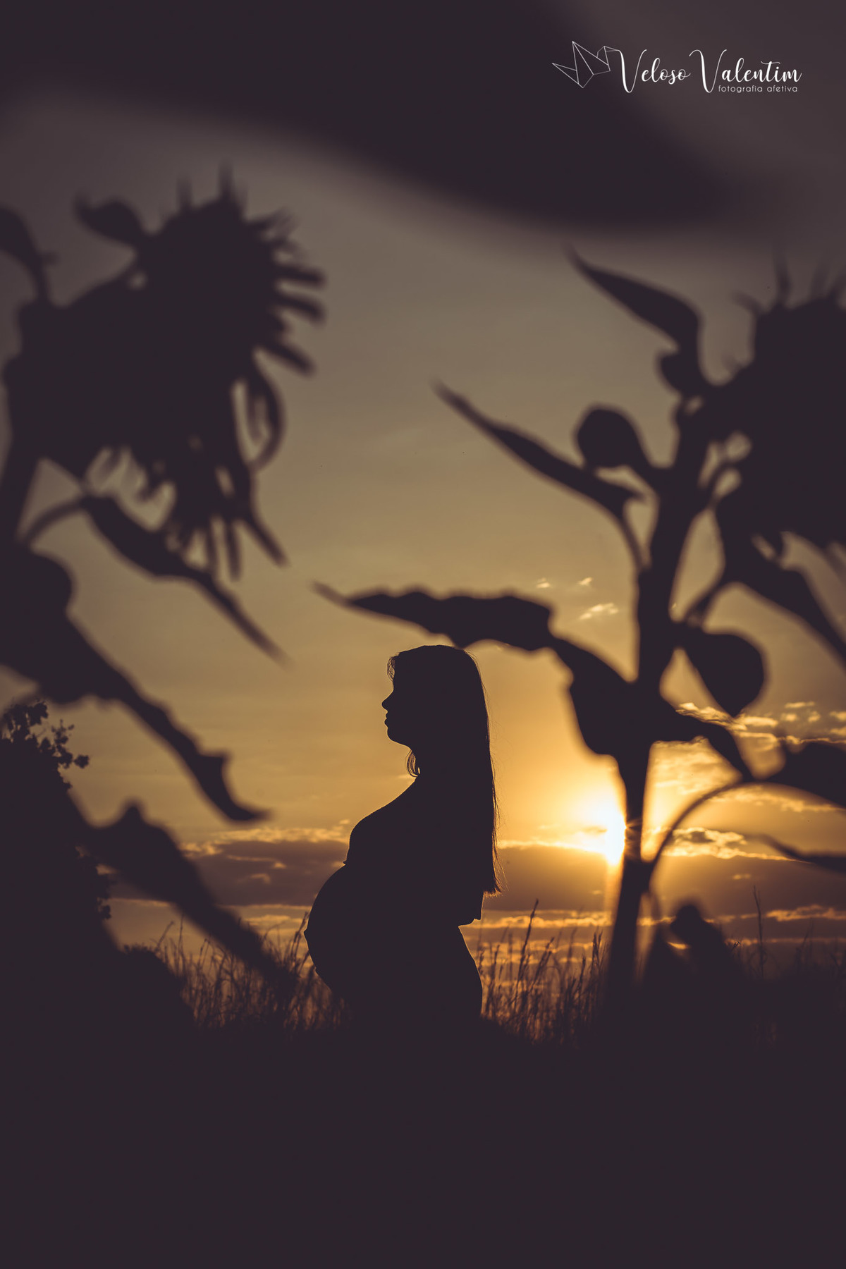 ensaio gestante campo de girassóis plantação Brasília DF girassol maternidade mãe e filha grávida ensaio ao ar livre fotografia de gravidez Veloso Valentim book gestante sessão foto família por do sol