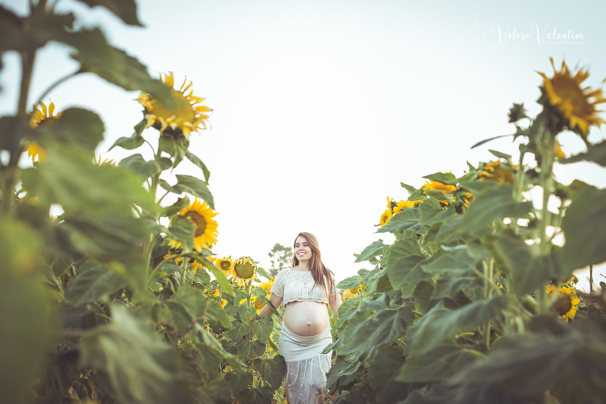ensaio gestante campo de girassóis plantação Brasília DF girassol maternidade mãe e filha grávida ensaio ao ar livre fotografia de gravidez Veloso Valentim book gestante sessão foto família