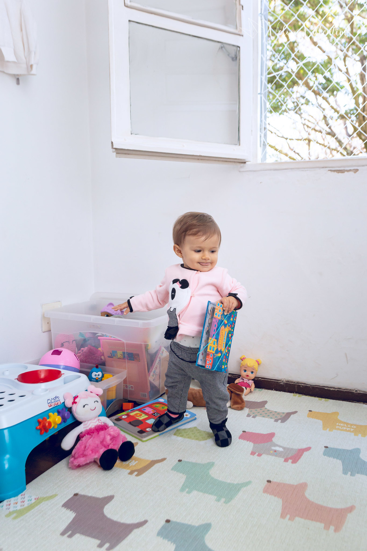ensaio acompanhamento do primeiro ano do bebê Aurora 12 meses em casa com a família ao ar livre aprendendo a andar primeiros passos Brasília DF Veloso Valentim fotografia afetiva bebê pegando seus brinquedos e livros