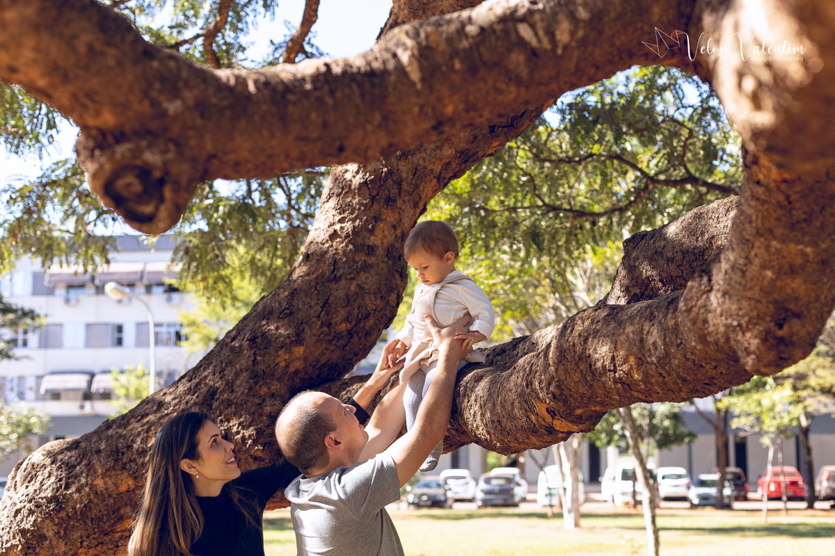 ensaio acompanhamento do primeiro ano do bebê Aurora 12 meses em casa com a família ao ar livre aprendendo a andar primeiros passos Brasília DF Veloso Valentim fotografia afetiva bebê na árvore