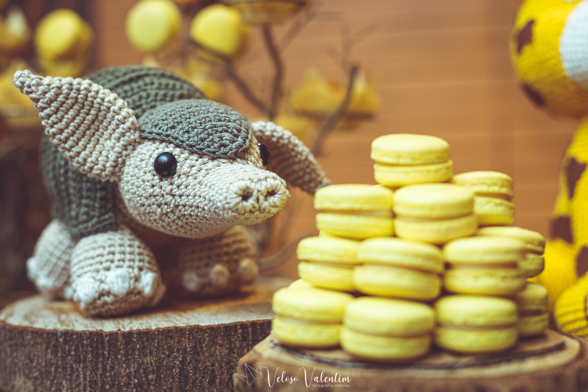 Festa infantil tema cerrado tons amarelo laranja marrom Brasília DF fotografia de eventos cobertura fotográfica fotógrafo de festas decoração festa infantil Veloso Valentim fotografia afetiva tatu amigurimi macarrons