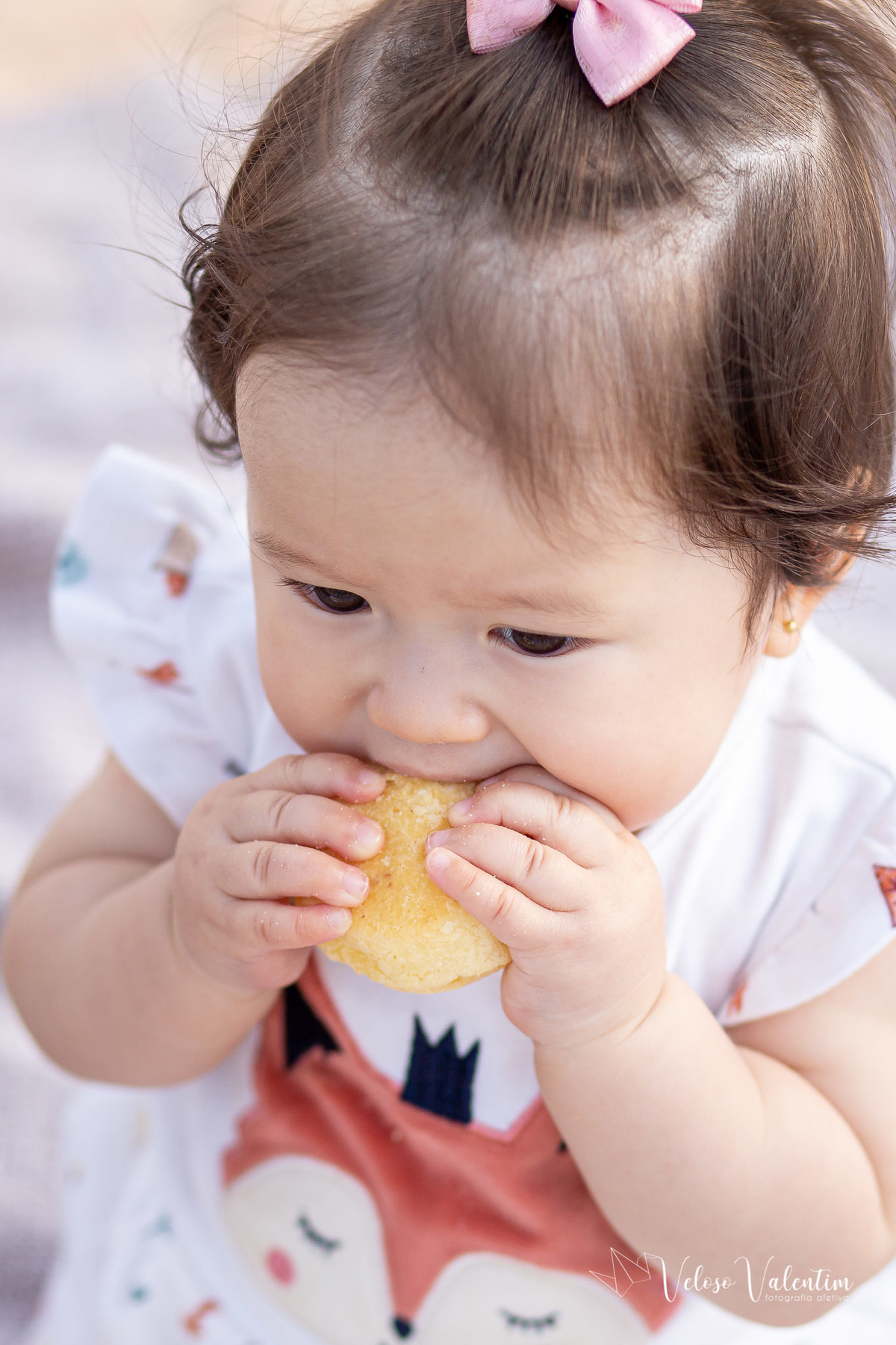 ensaio acompanhamento do primeiro ano do bebê Laura 9 meses ensaio externo ao ar livre com a família  parque de Taguatinga Brasília DF parquinho picnic pão de queijo