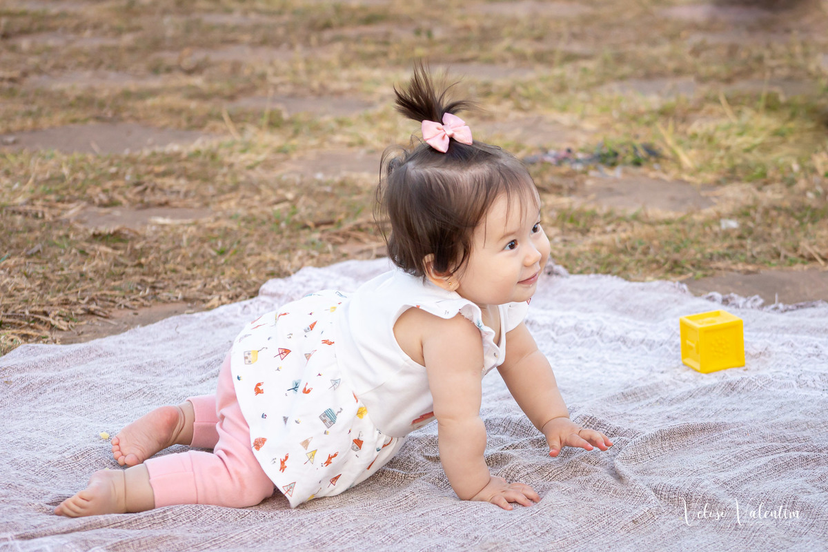 ensaio acompanhamento do primeiro ano do bebê Laura 9 meses ensaio externo ao ar livre com a família  parque de Taguatinga Brasília DF parquinho picnic bebê engatinhando