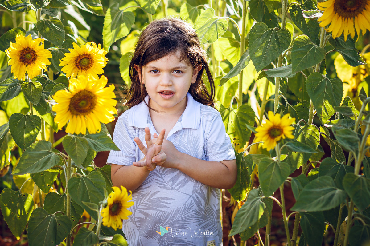 ensaio família, ensaio ao ar livre, campo de girassóis, girassol, plantação, book família, ensaio feminino, ensaio casal, fotógrafo de Brasília, mães de Brasília, upis campos II, retrato feminino, Veloso Valentim fotografia, Brasília DF, 3 anos