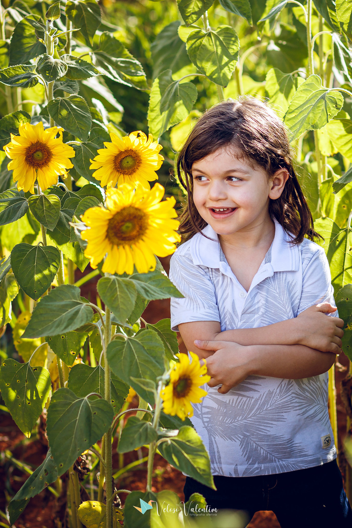 ensaio família, ensaio ao ar livre, campo de girassóis, girassol, plantação, book família, ensaio feminino, ensaio casal, fotógrafo de Brasília, mães de Brasília, upis campos II, retrato feminino, Veloso Valentim fotografia, Brasília DF, criança fofa