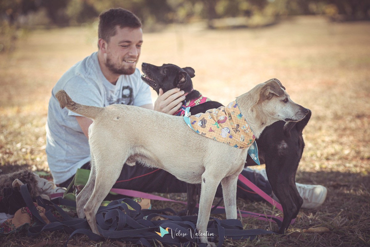 homem sentado na grama com dois cachorros