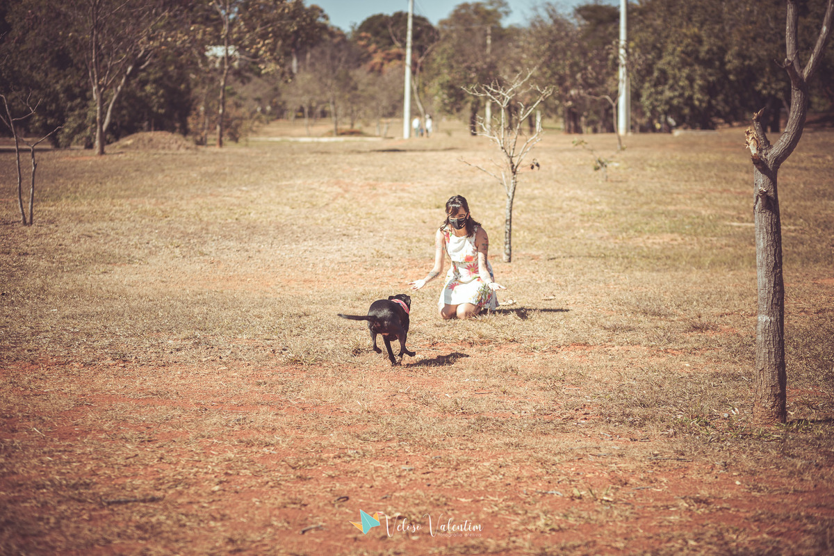cachorro preto correndo para mulher ajoelhada na grama