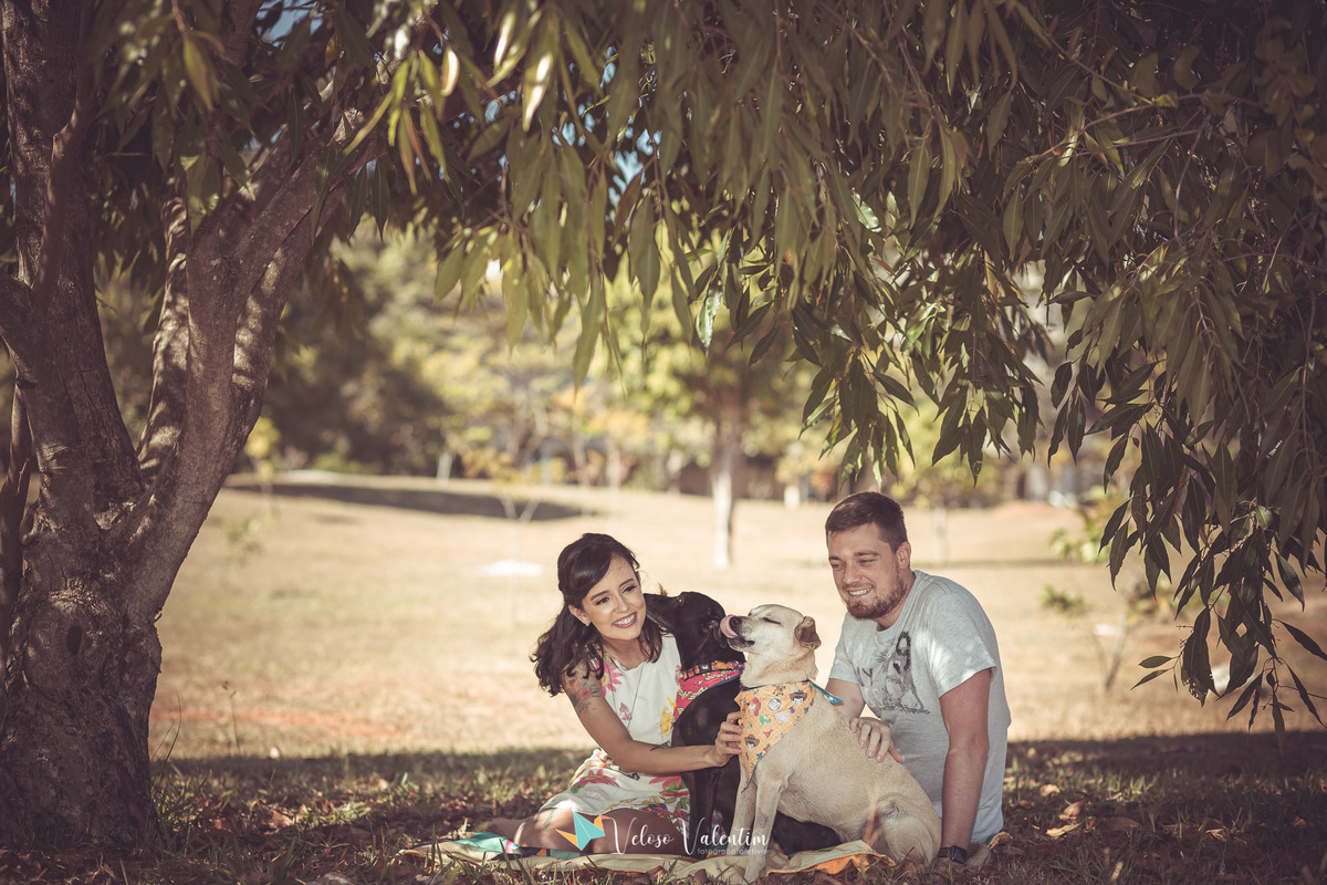 casal com cachorros sentados sob uma árvore