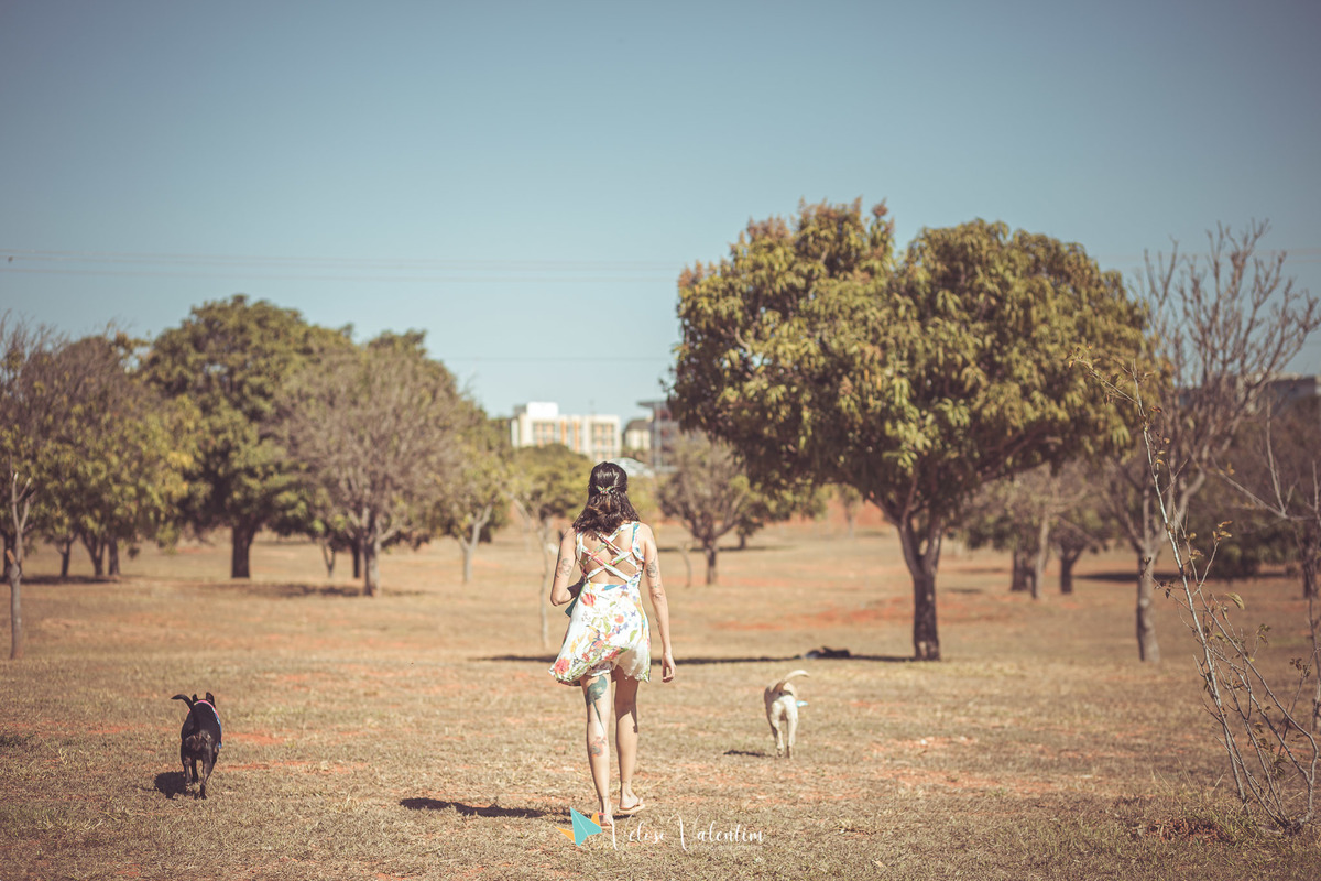mulher de costas caminha com seus cachorros