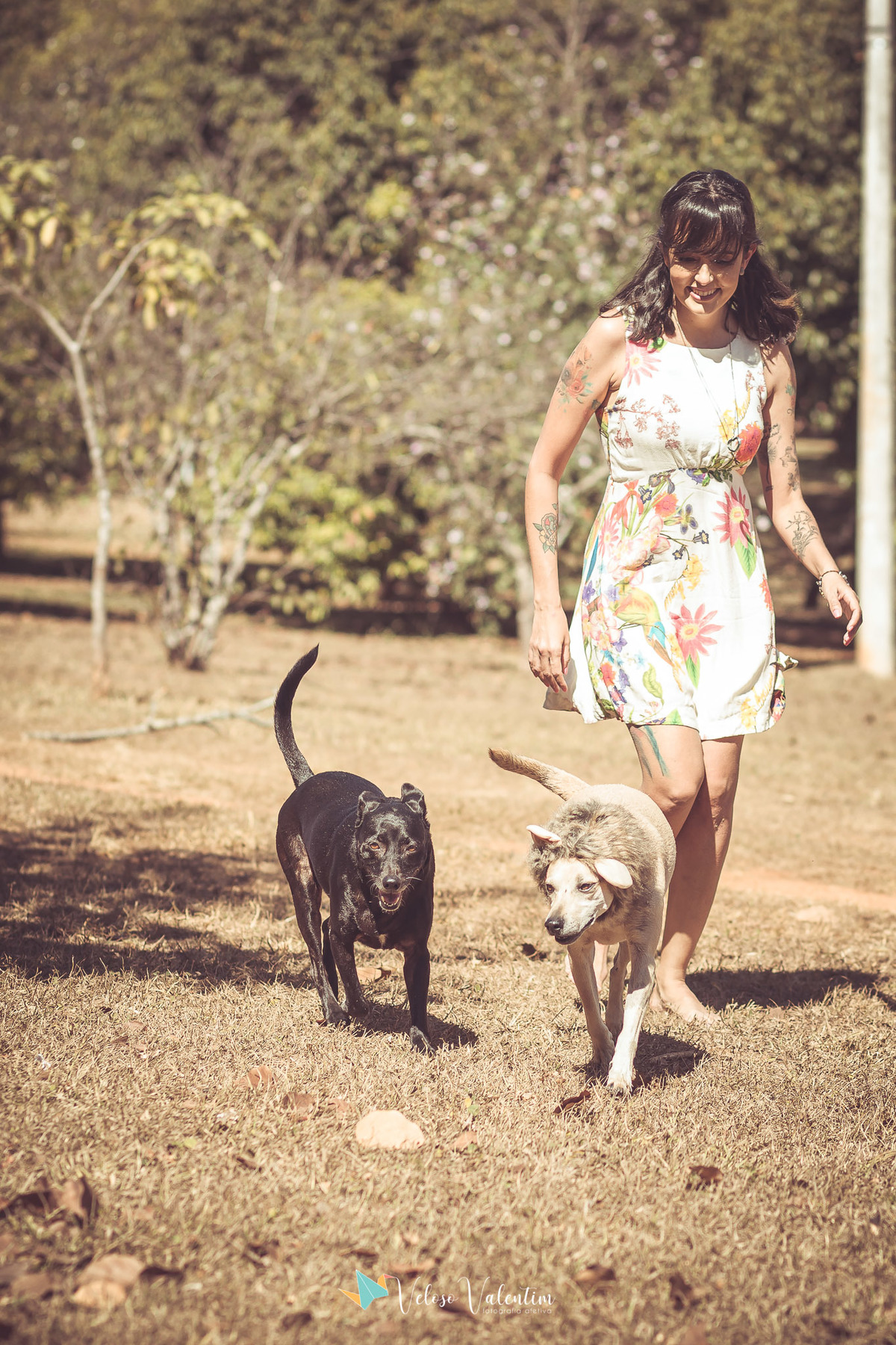 mulher andando com cachorros