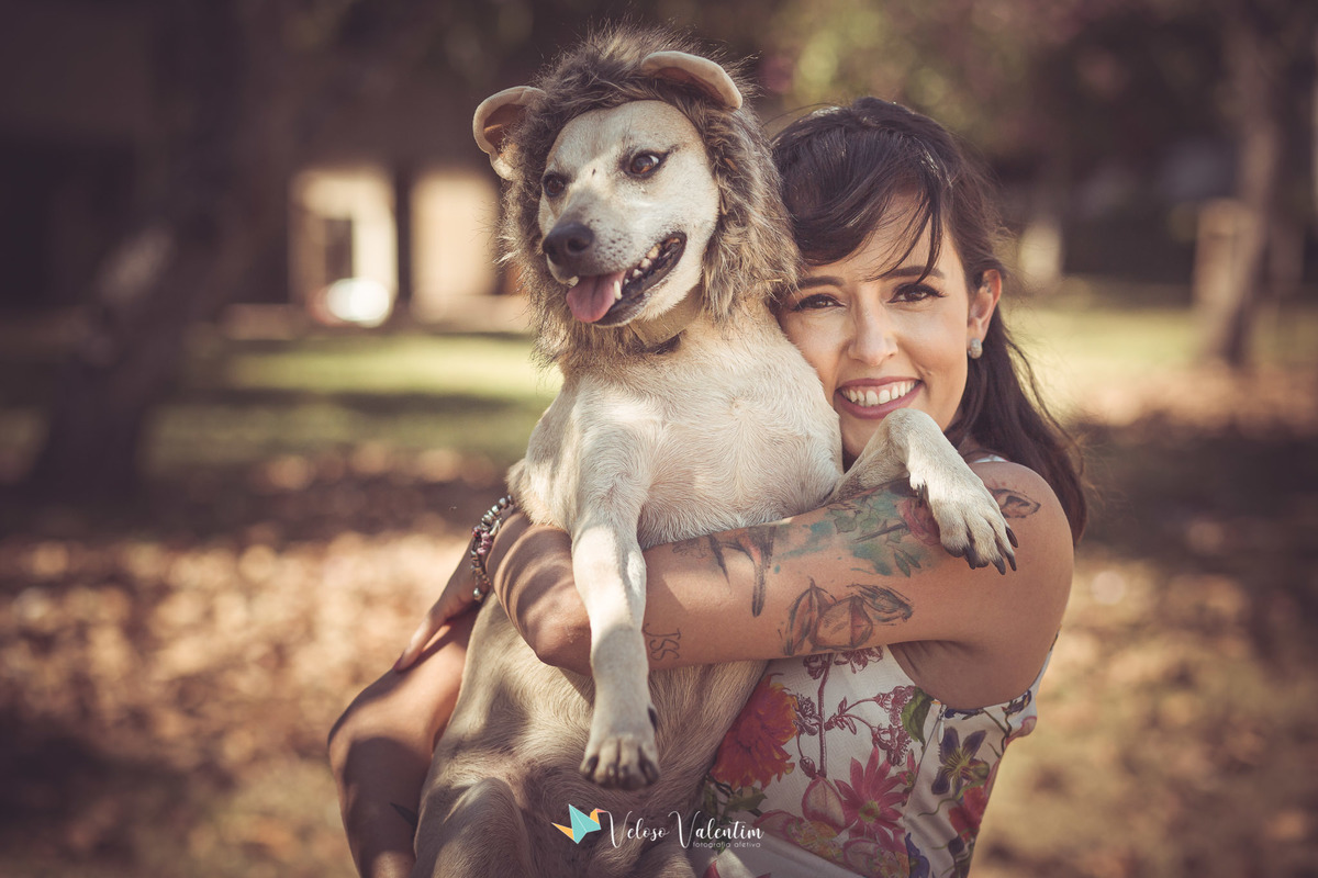 cachorro fantasiado de leão no colo de mulher
