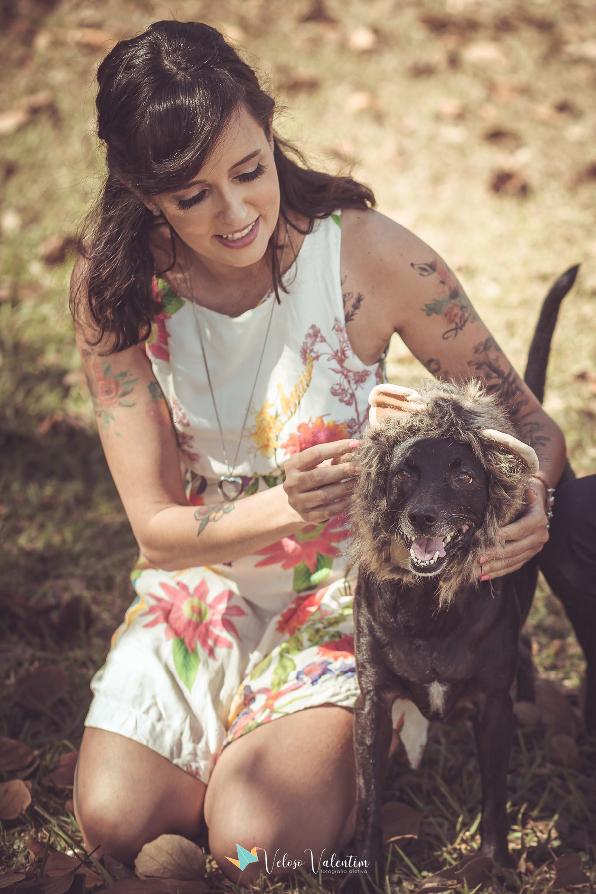 cachorro preto com juba de leão