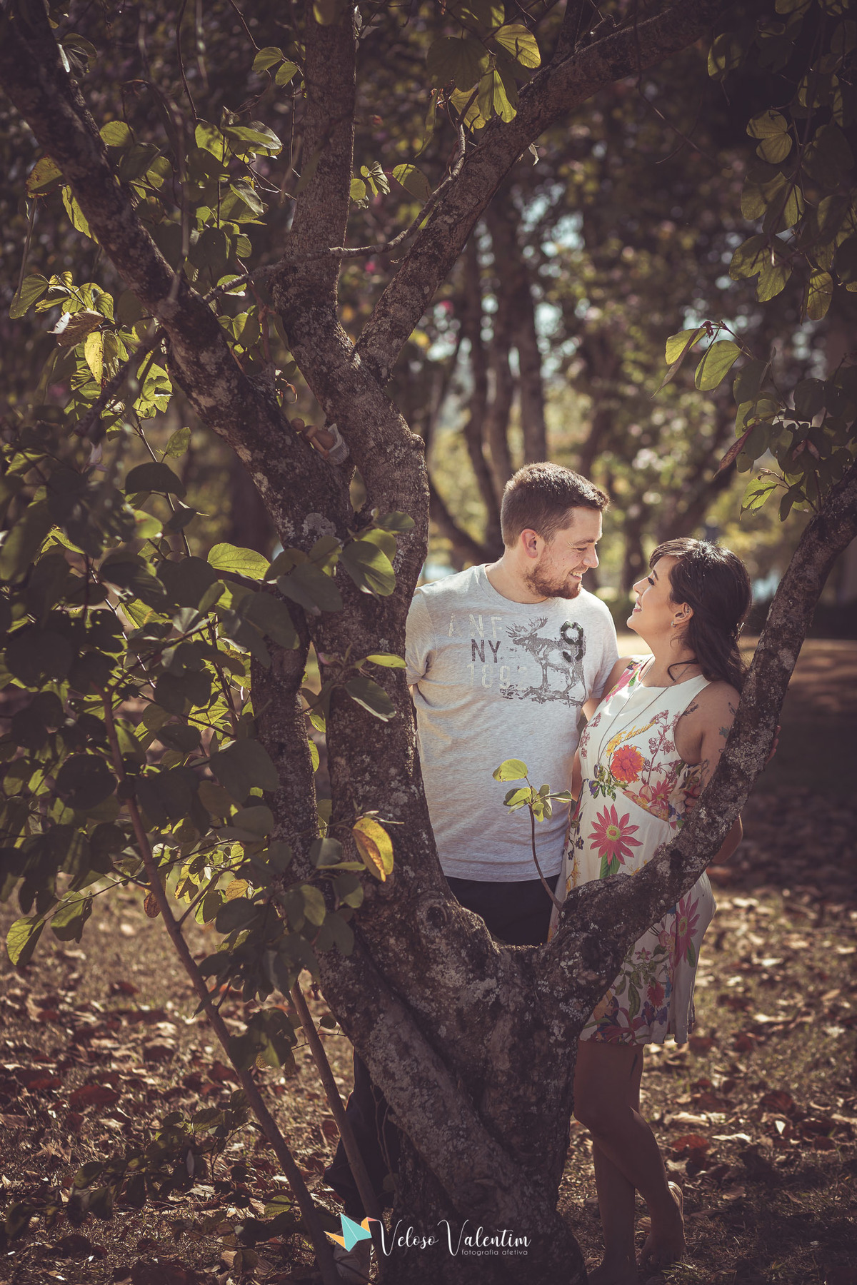 casal se olhando emoldurados por árvore