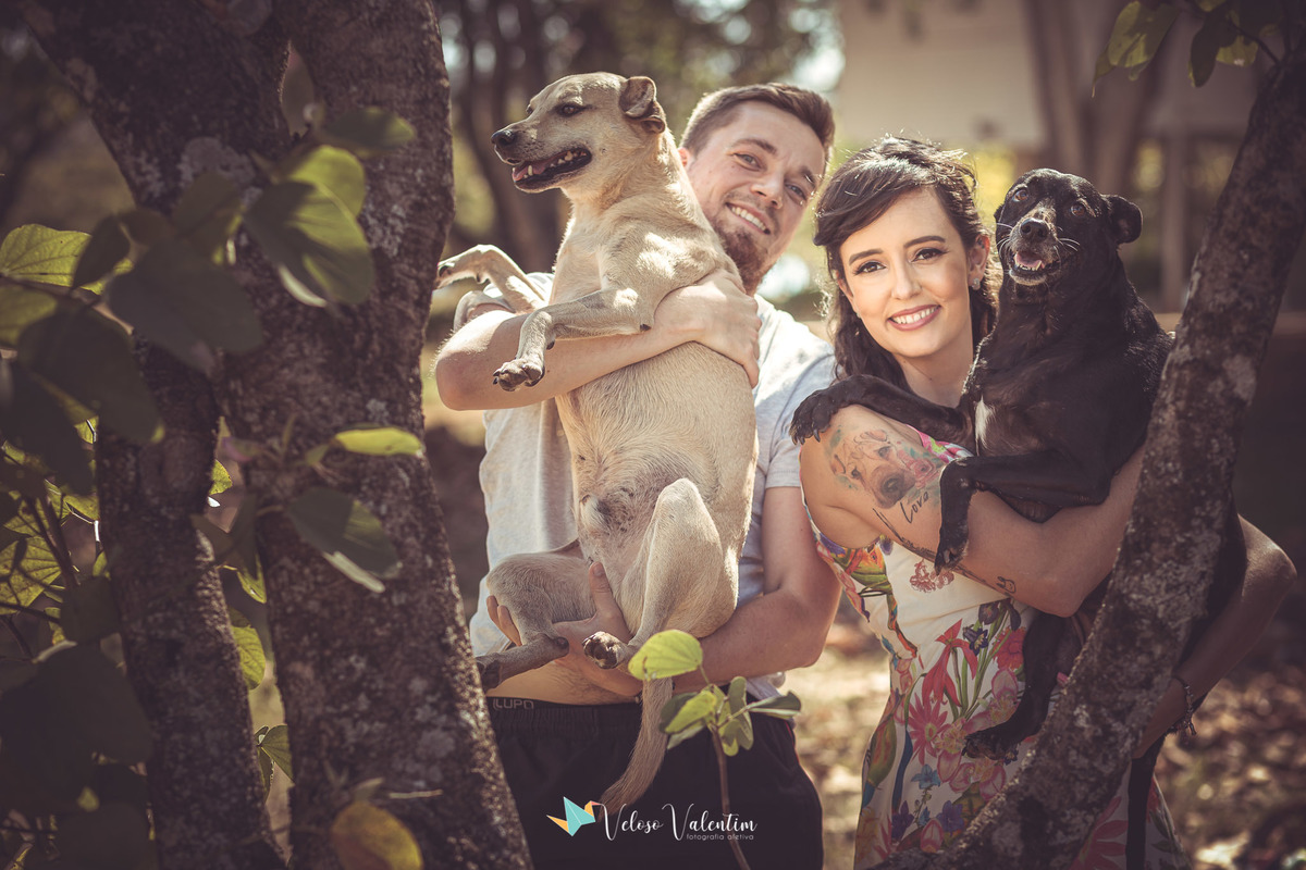 casal com seus cachorros no colo
