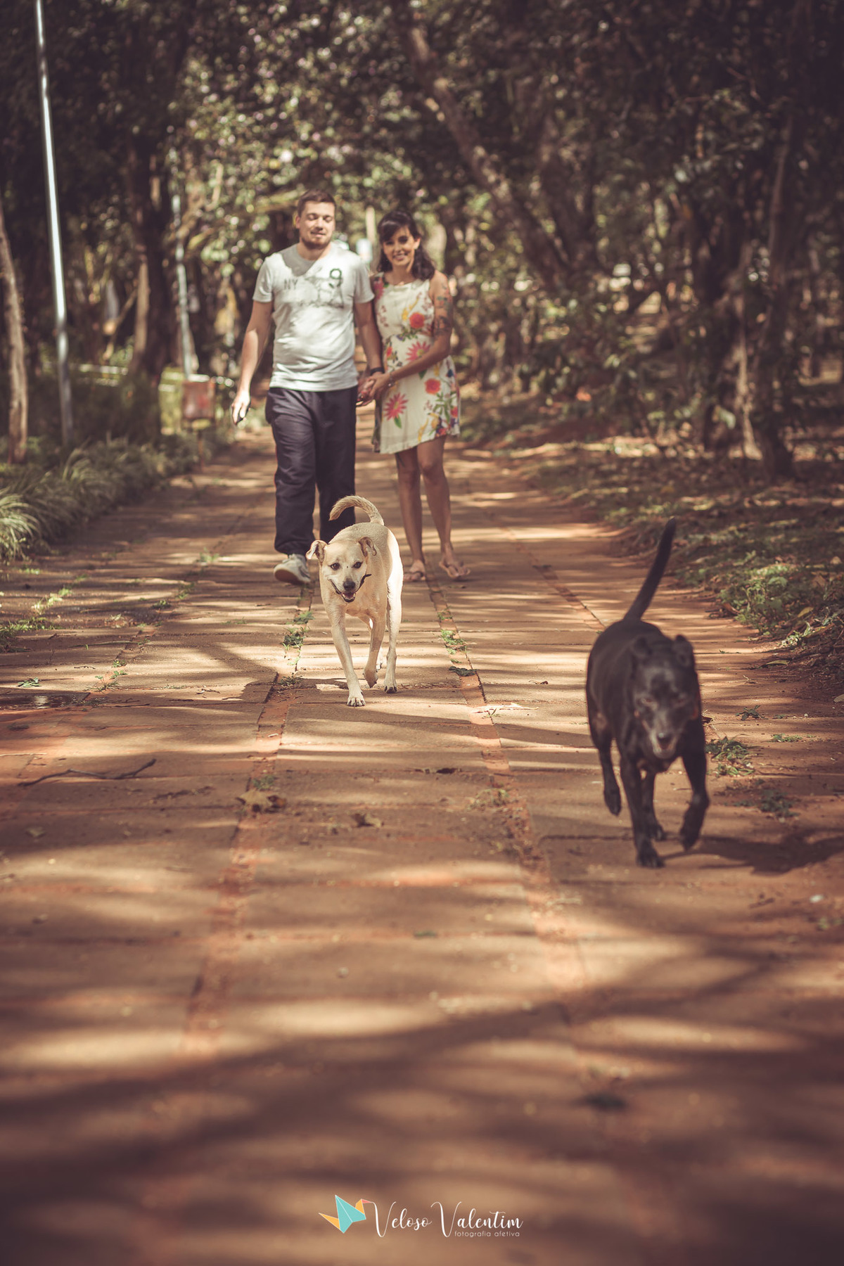 casal caminhando com cachorros