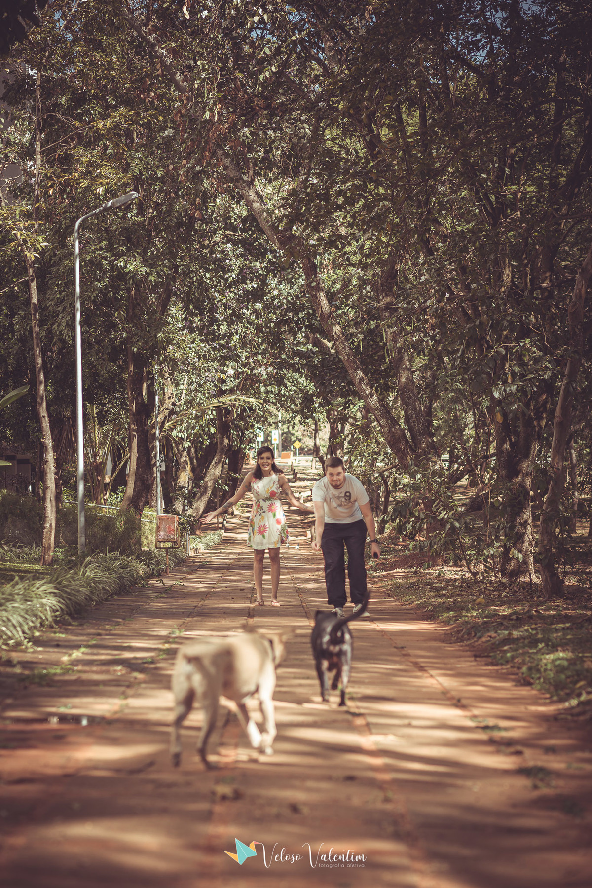 homem e mulher em passeio arborizado com cachorros